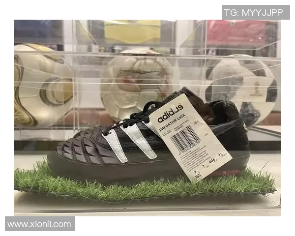 足球明星是否推出个人签名鞋子及其背后的故事与市场影响分析